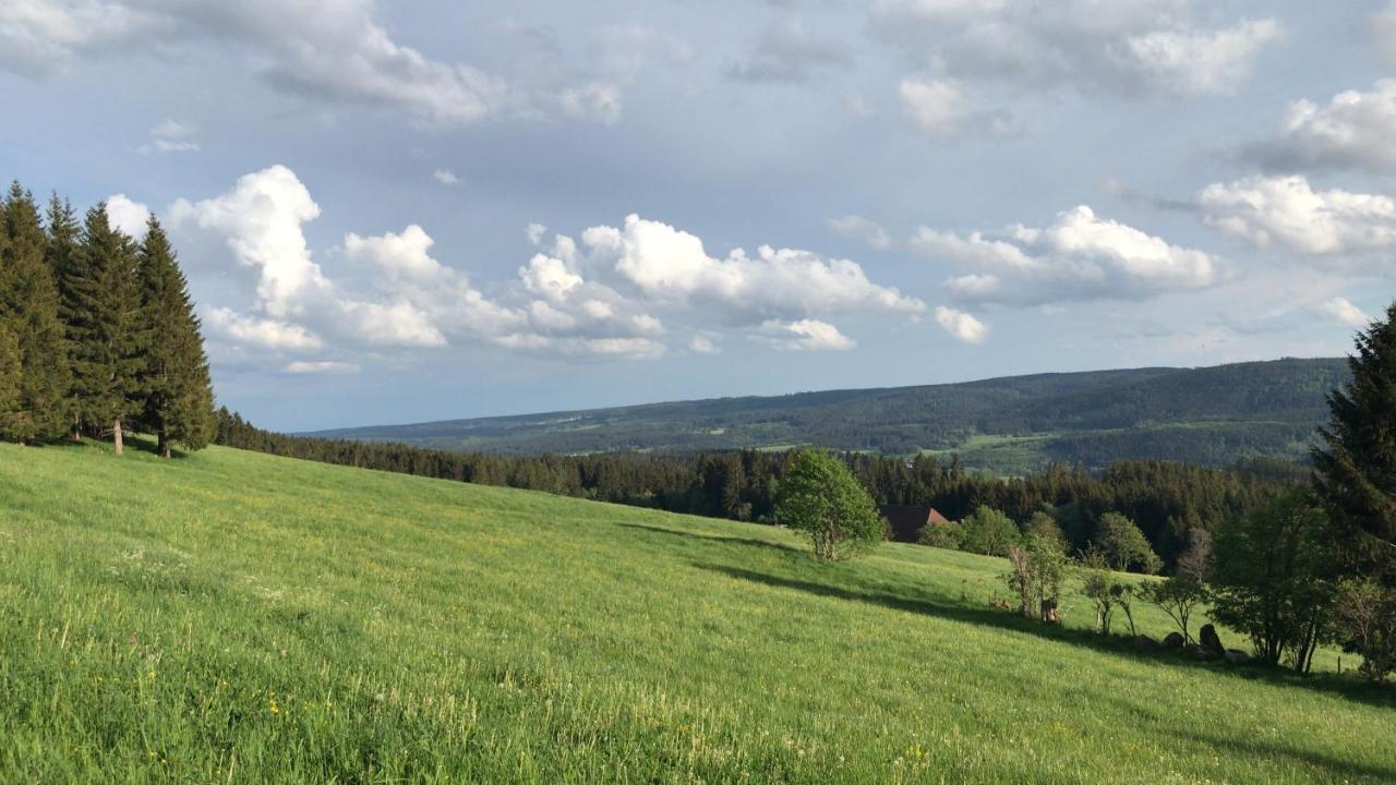 Ferienwohnung Zur Alten Schmiede Lenzkirch Exterior photo